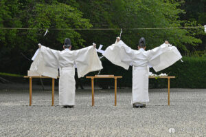 投稿についてもっと詳しく 【すぐそばにある、わたしの幸せの見つけ方】Vol.64 節目の法則